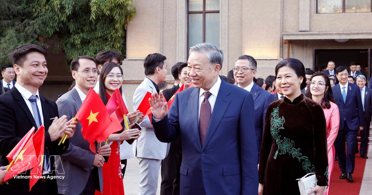 Top leader meets Vietnamese diplomatic staff, community in China