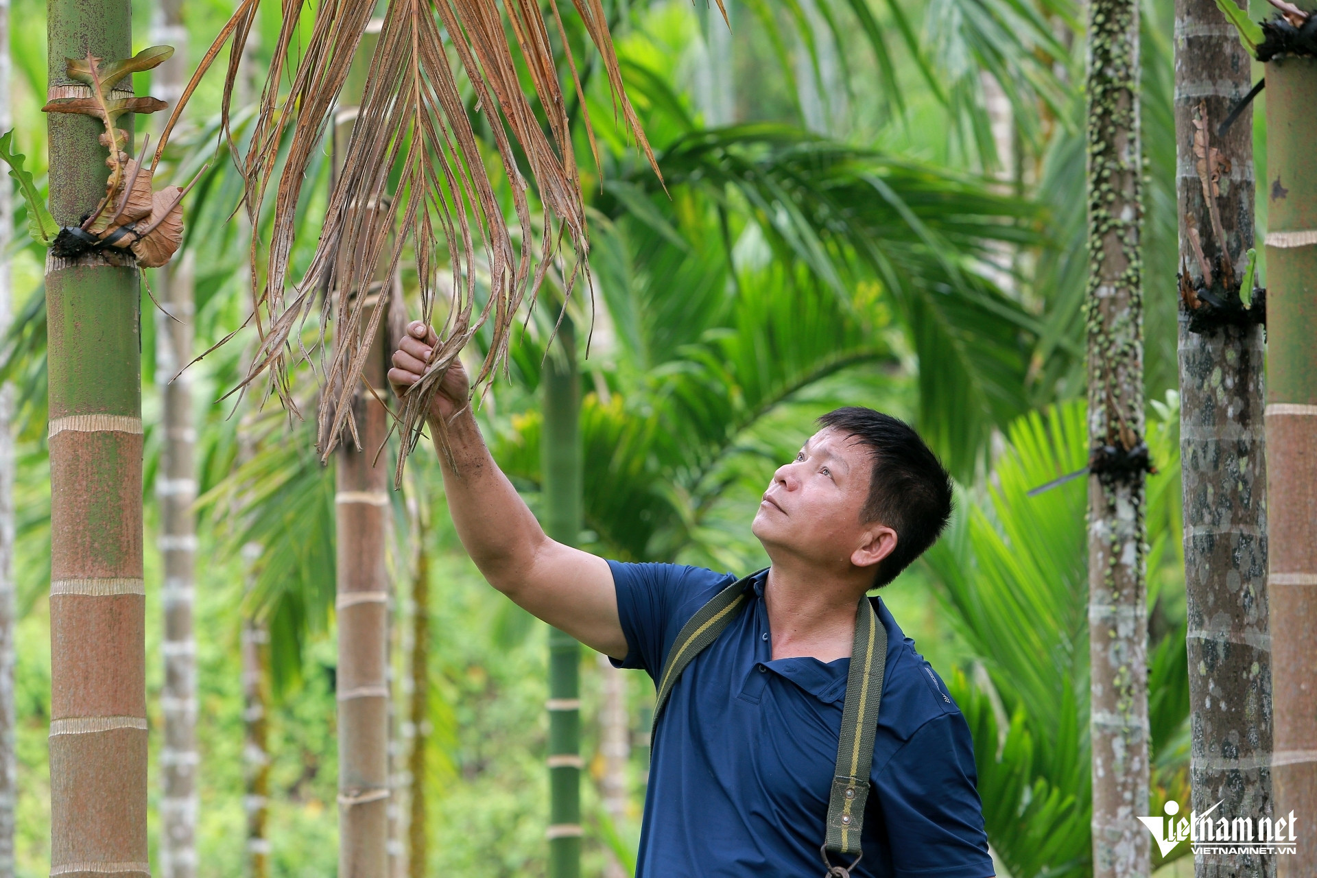 vietnam countryside1.jpg