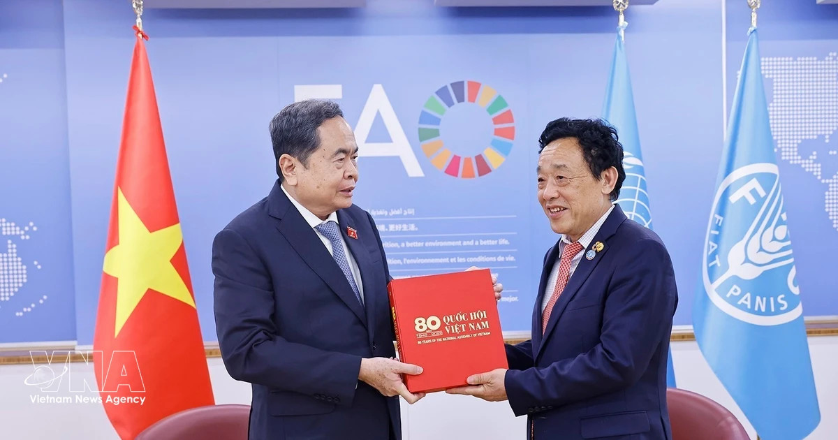 VN views FAO as leading partner in agricultural, rural development: NA Chairman