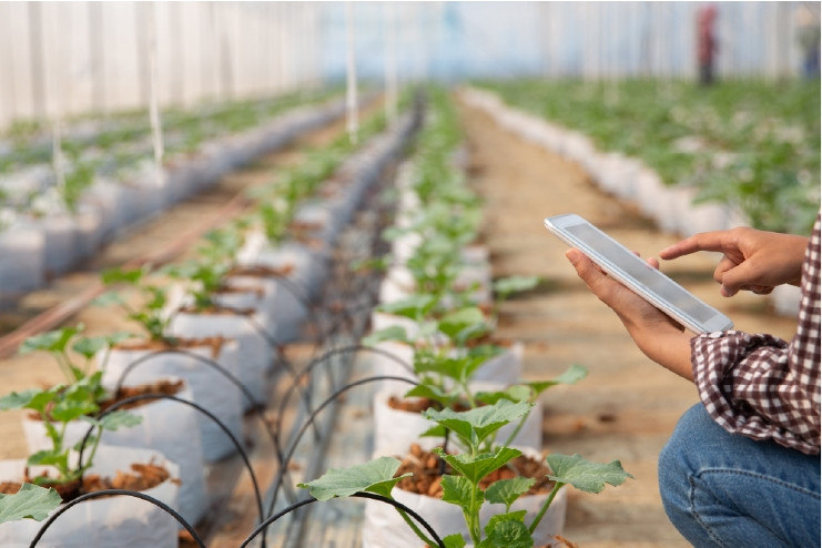 Software becomes central to modern agriculture