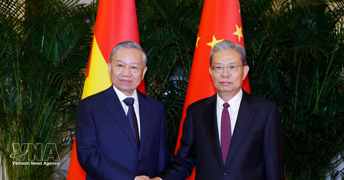 VN Party General Secretary, State President meets with top Chinese legislator