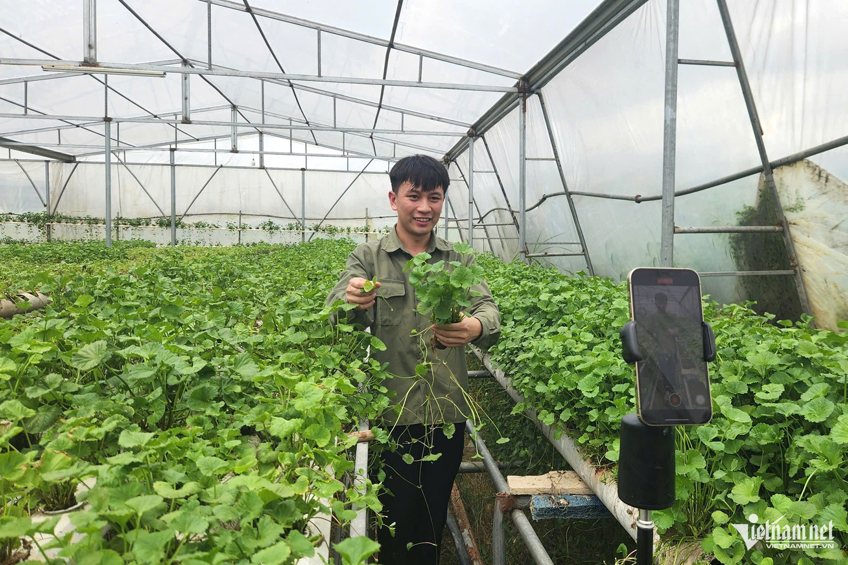 W-cb092c15 77b7 4d5a ae22 5b39ed66a47a.jpeg