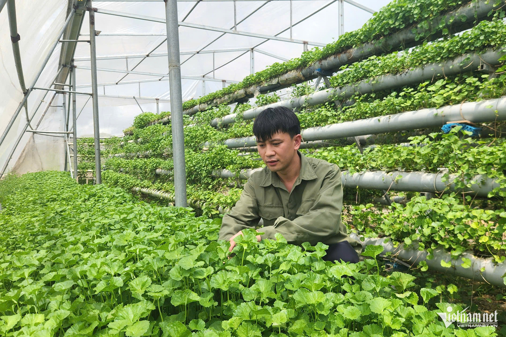 W-e6206b21 a554 4448 bd15 47f950e14993.jpeg