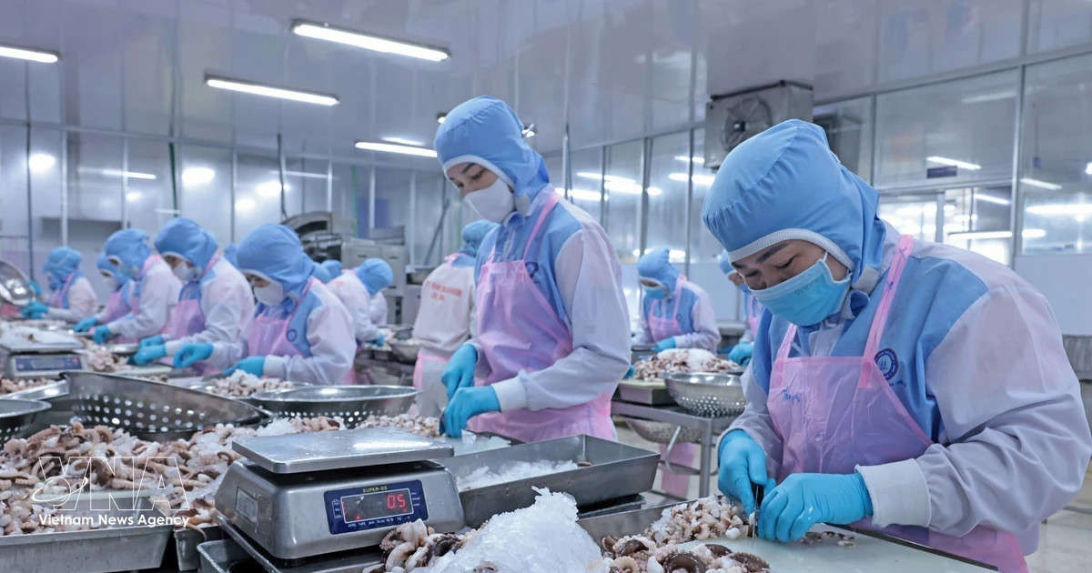 Vietnam’s long-term investment appeal remains intact: EuroCham