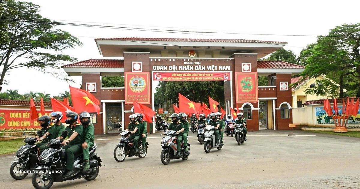 National, local traffic safety committees to be dissolved from June 1