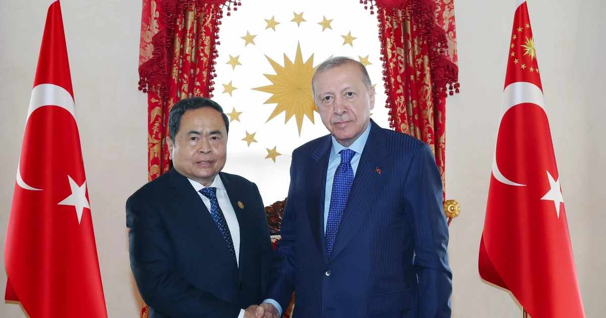 Vietnamese NA Chairman meets Turkish President