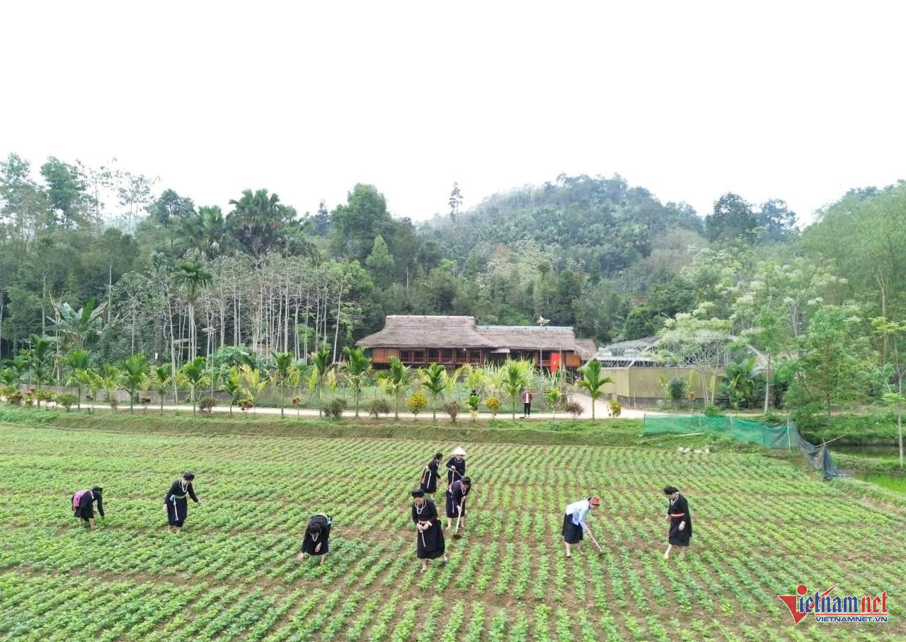 W-giảm nghèo 1.jpeg