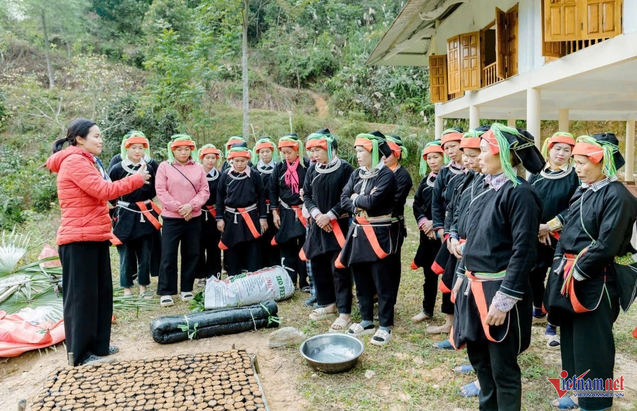 W-giảm nghèo 2.jpeg