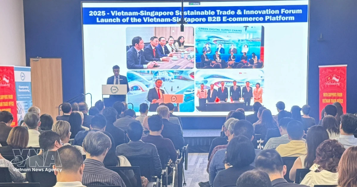 Vietnam, Singapore promote green economic cooperation, sustainable trade