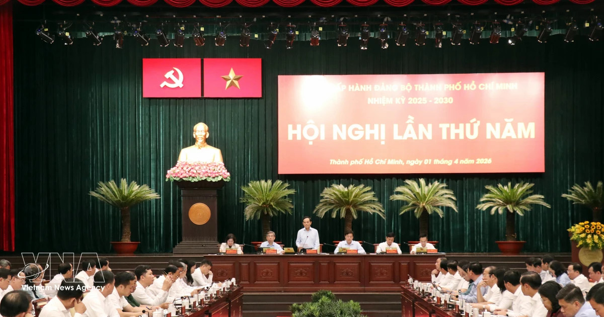 HCM City mulls free bus services to ease congestion, boost green mobility