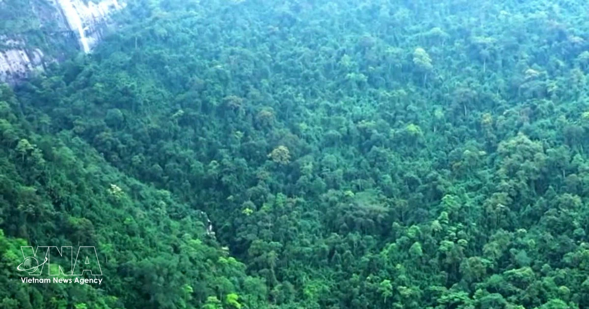 Vietnam secures nearly 72 million USD in green finance support