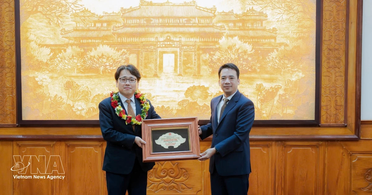 Hue awards honorary citizenship to RoK business leader for great contributions