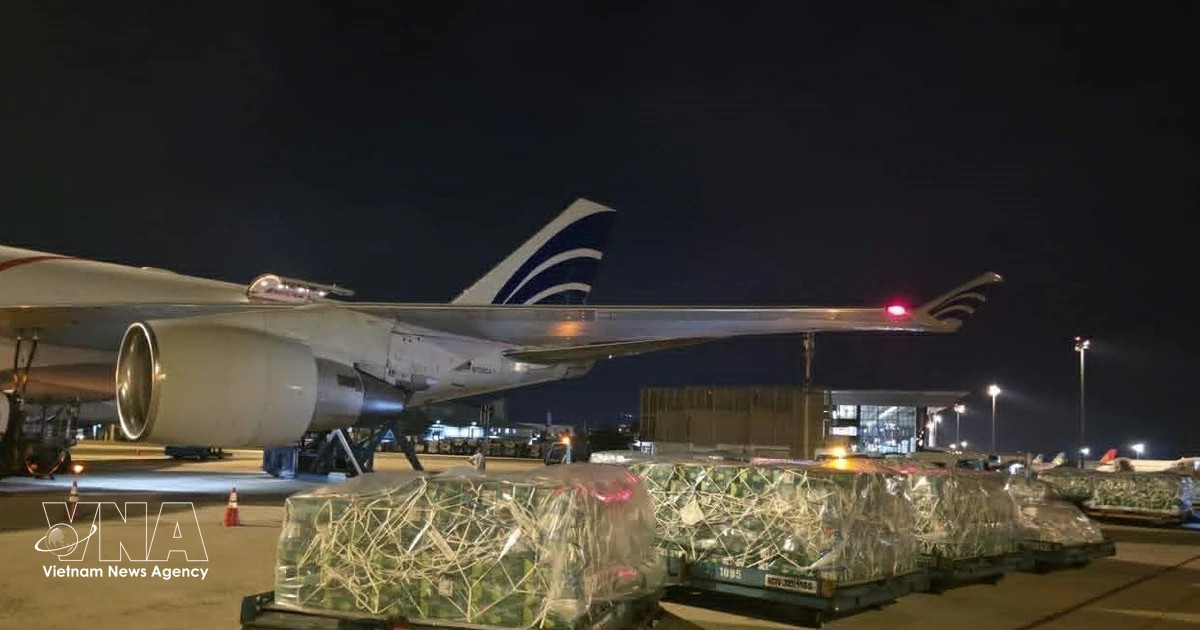 Nearly 100 tonnes of Vietnamese fruits, vegetables airlifted to UAE
