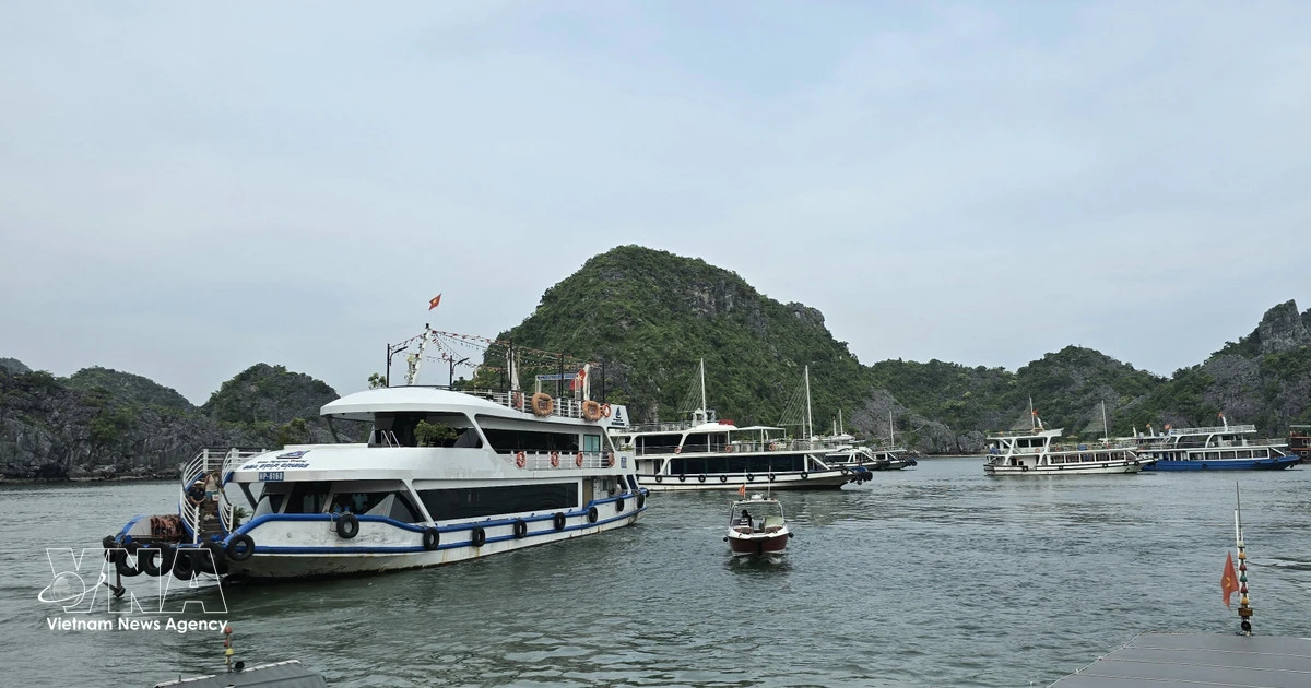 New cruise route linking Ha Long and Lan Ha Bays launched