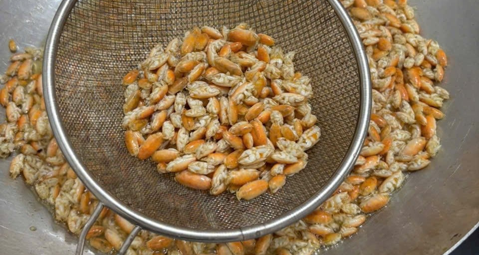 Phu Quoc’s ‘backward-walking’ delicacy delights curious diners