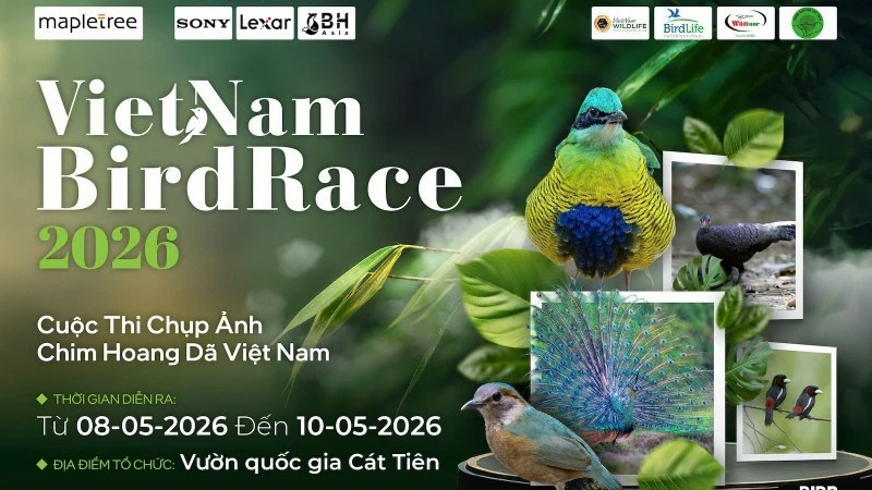 Vietnam BirdRace 2026 to attract hundreds of photographers worldwide