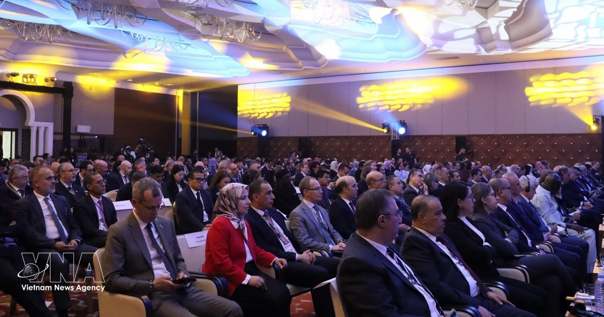 Vietnam joins int'l bidding for oil and gas exploration in Algeria