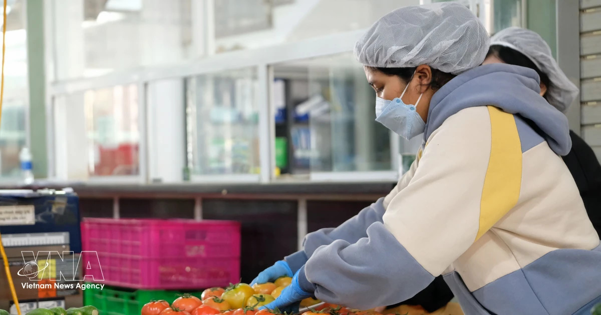 Vietnam’s fruit sector reaches new milestones