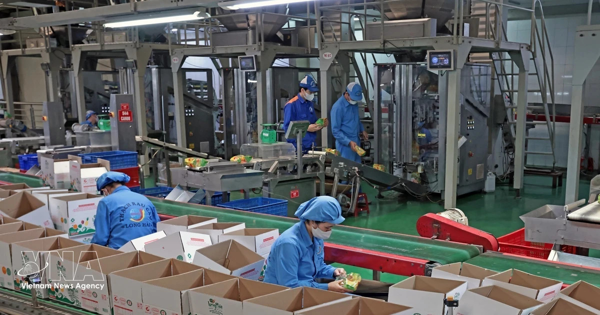 State – private synergy key to Vietnam’s growth ambitions