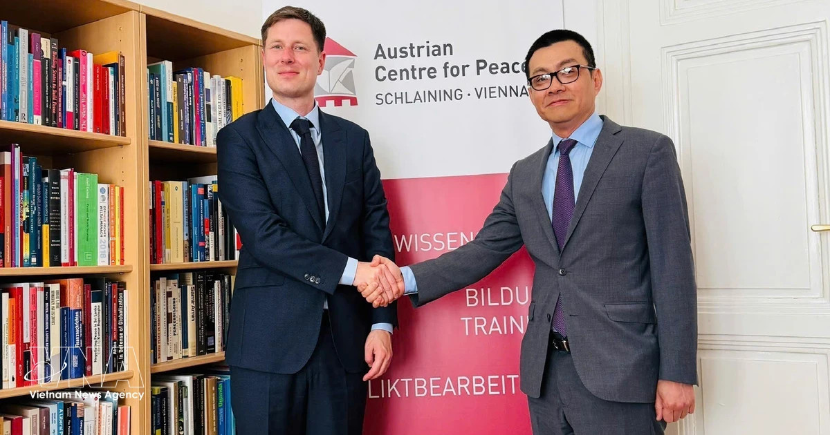 Austria ready to cooperate with VN in strengthening UN peacekeeping capacity