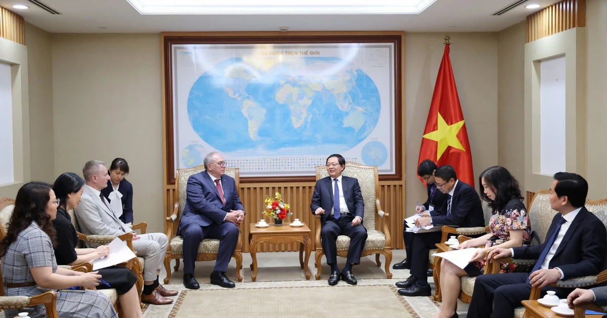 Deputy PM, IAEA official discuss nuclear power development