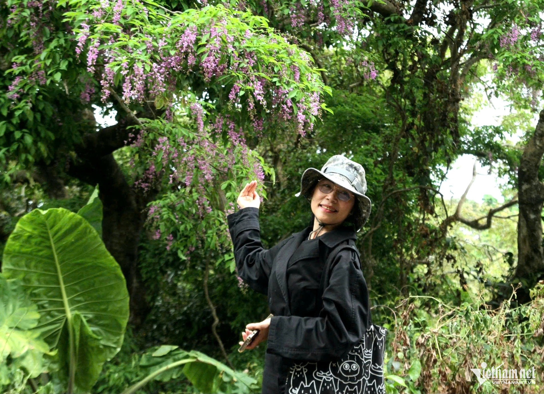 son tra peninsula9.jpg