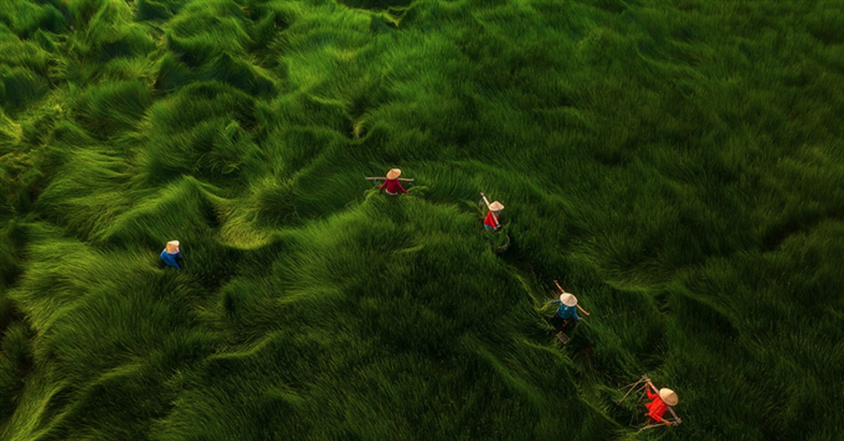 Vietnam strengthens its place on the global photography map