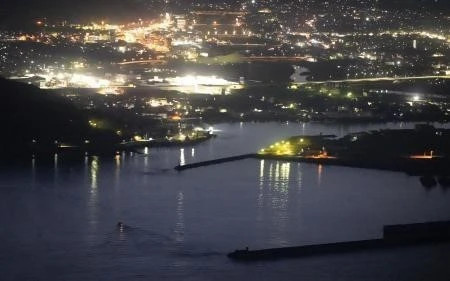 Vietnamese Embassy in Japan ready to take citizen protection measures