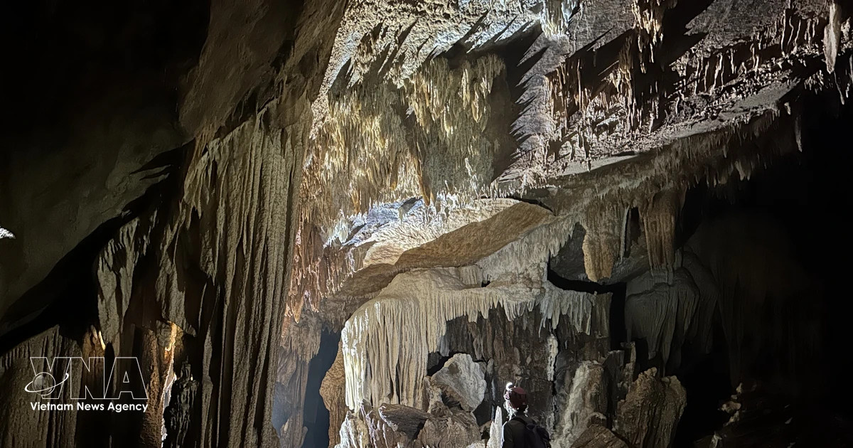 26 new caves discovered in Phong Nha – Ke Bang National Park
