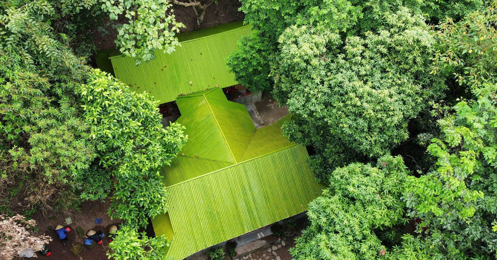 A bamboo temple hidden in Quang Ninh captivates visitors