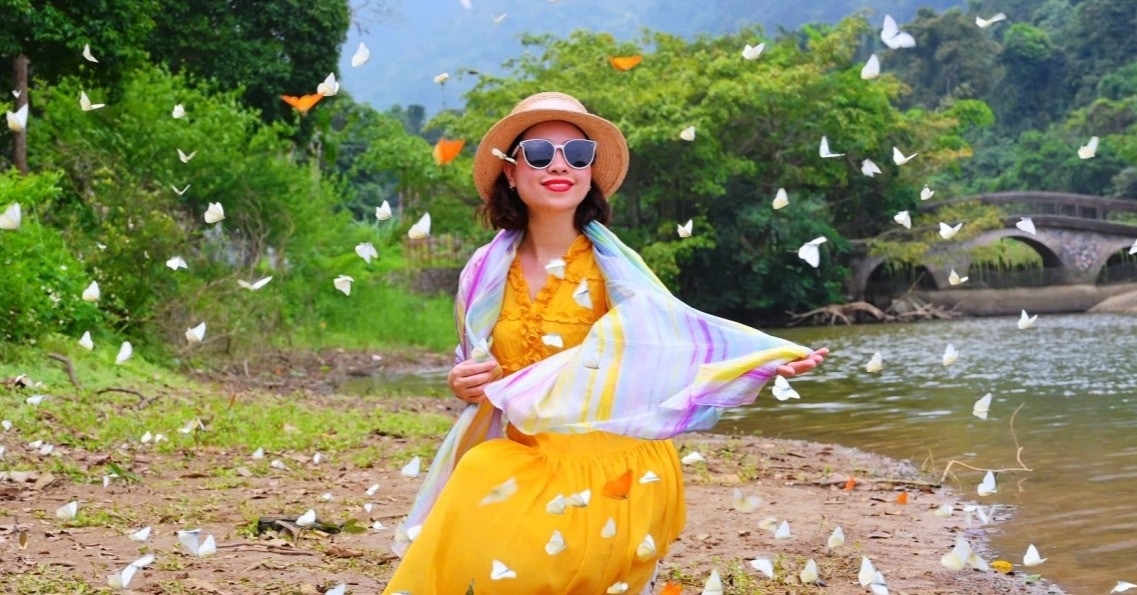 Butterfly season arrives early, drawing crowds to Cuc Phuong forest