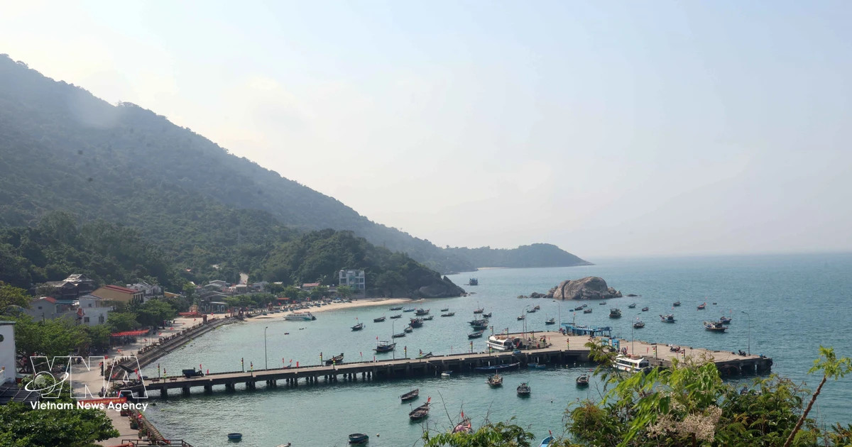 Pickleball World Cup 2026 to be held in Da Nang