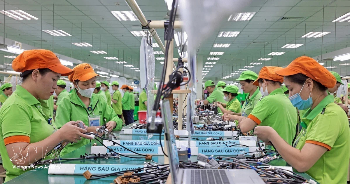 Vietnam’s economy maintains strong momentum amid global uncertainties: AMRO