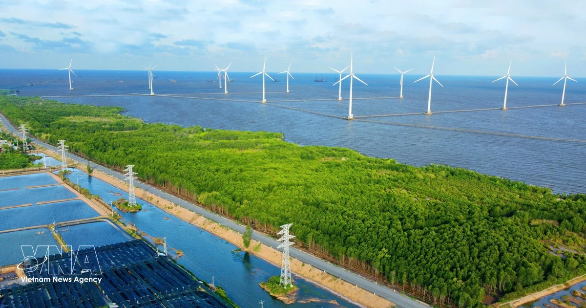 Energy security push gains urgency as global risks rise