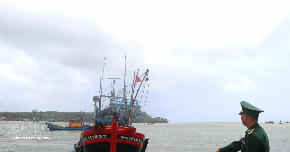 Vietnam issues new control procedures to tackle IUU fishing