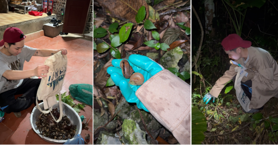 Hunting “heaven’s gift” in Lang Son after dark