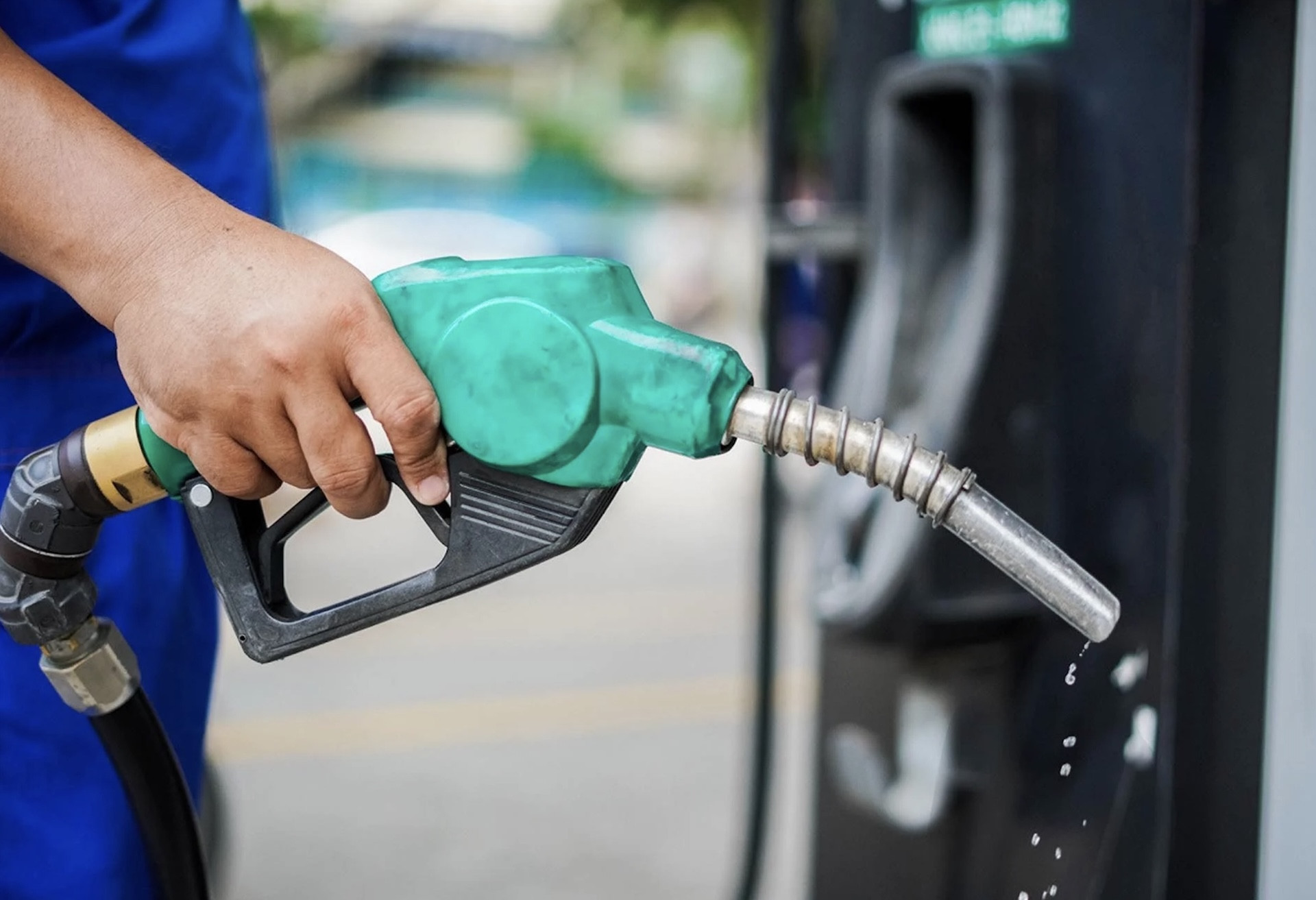 ung pho xang dau.jpg