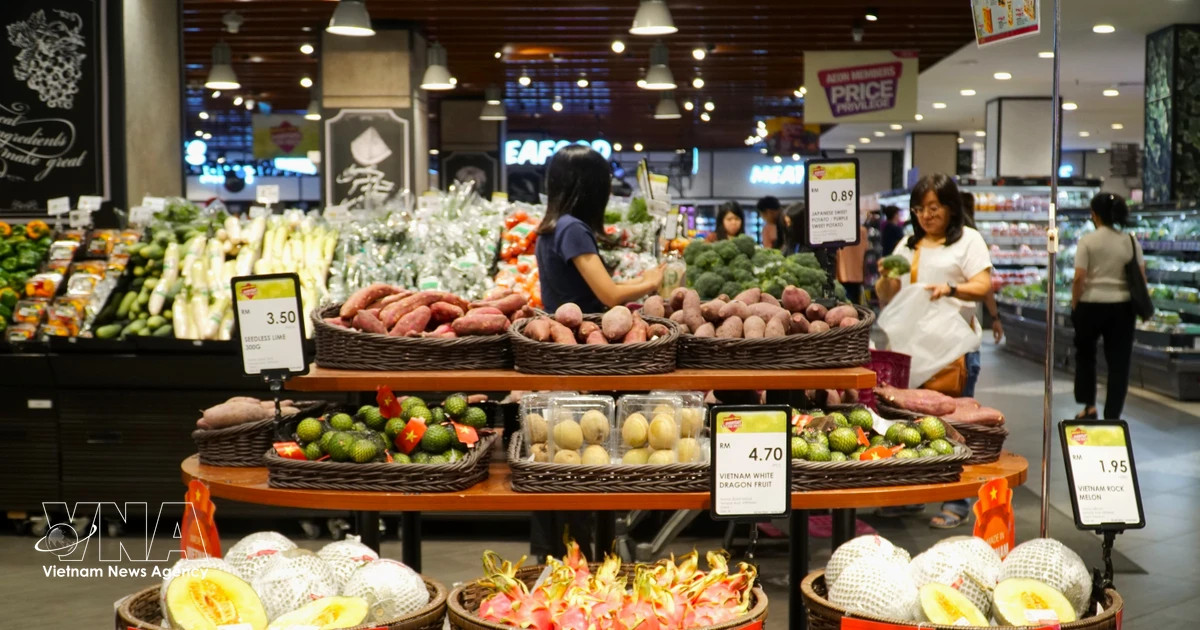 OVs encouraged to expand distribution channels for Vietnamese goods abroad