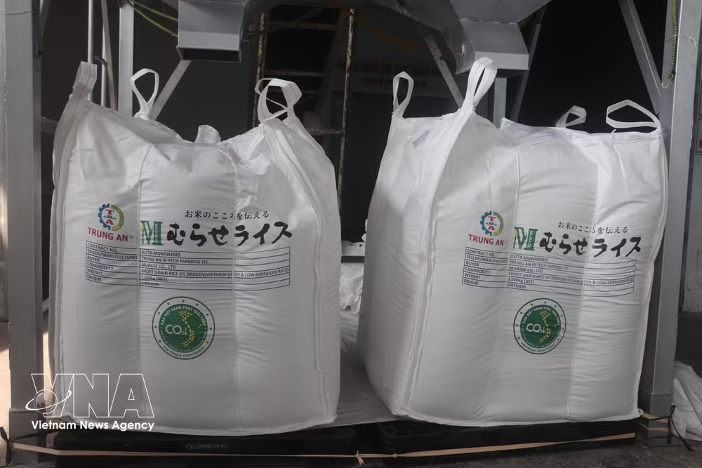 vnanet-potal-xuat-khau-lo-gao-viet-xanh-phat-thai-thap-dau-tien-sang-nhat-ban-8075169-1.jpg