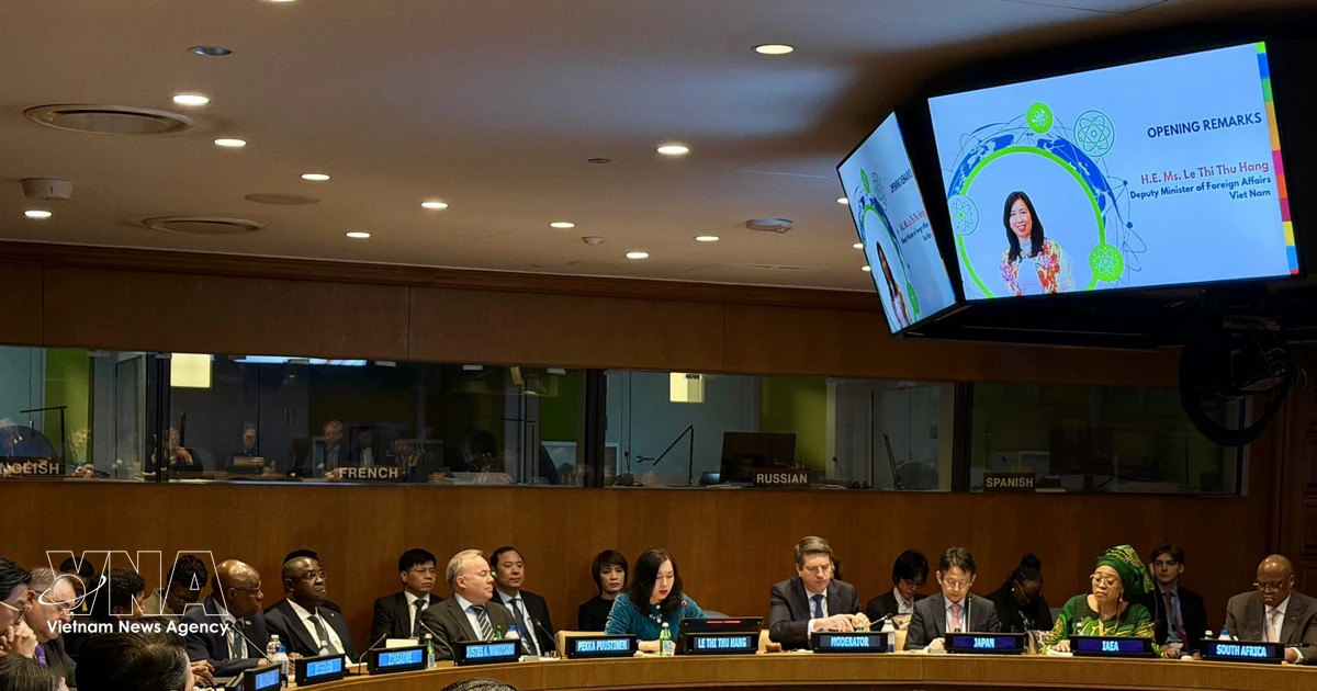 Vietnam chairs roundtable on peaceful use of nuclear energy