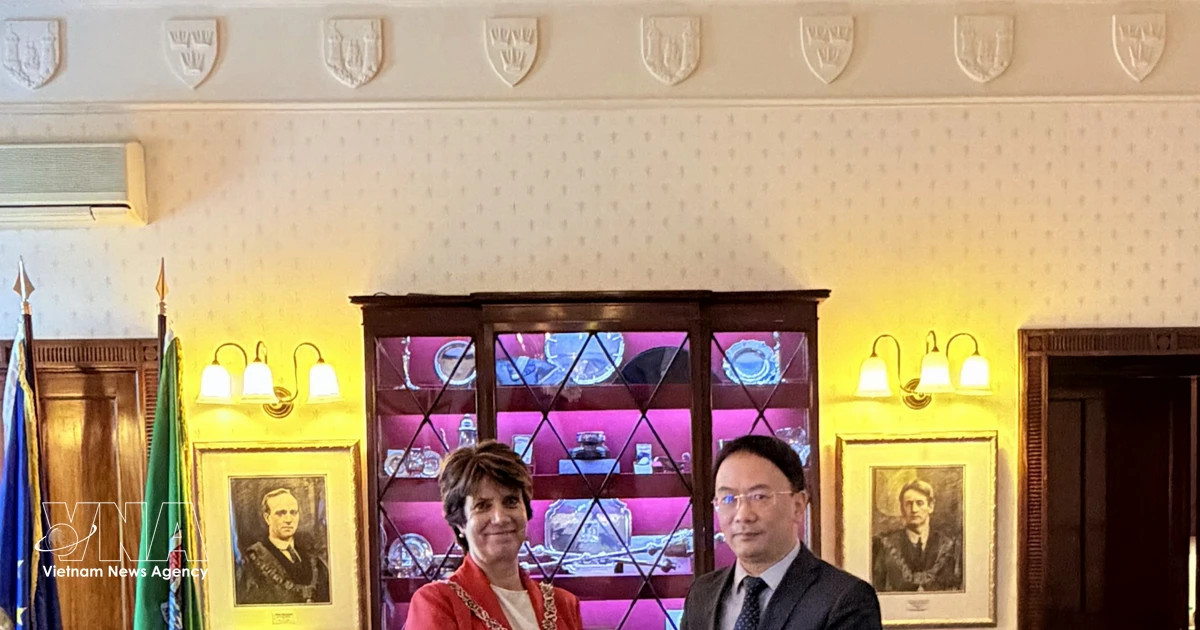 Vietnam, Ireland seek to expand all-around cooperation