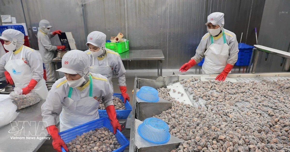 Vietnam notifies WTO committee of goods origin management reforms