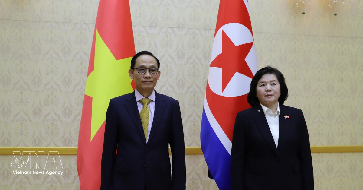 Vietnamese FM, DPRK officials discuss ways to boost bilateral ties