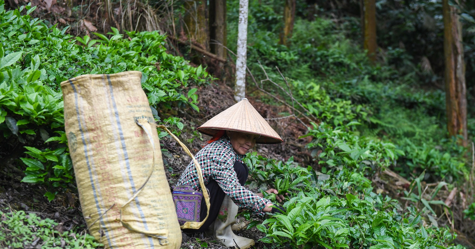 Vietnam’s ethnic policy faces a defining shift from support to empowerment