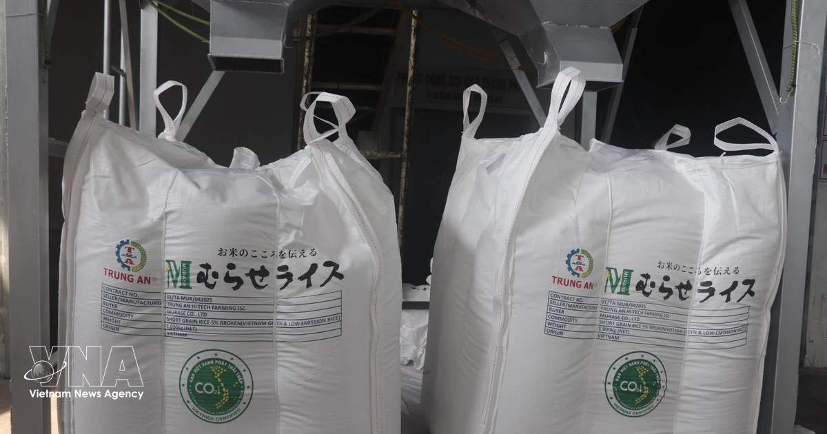 70,000 tonnes of rice granted “Low-emission Green Vietnamese Rice” label