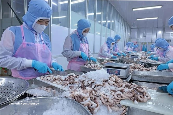 Vietnam’s aquatic product exports aim for 12 billion USD target