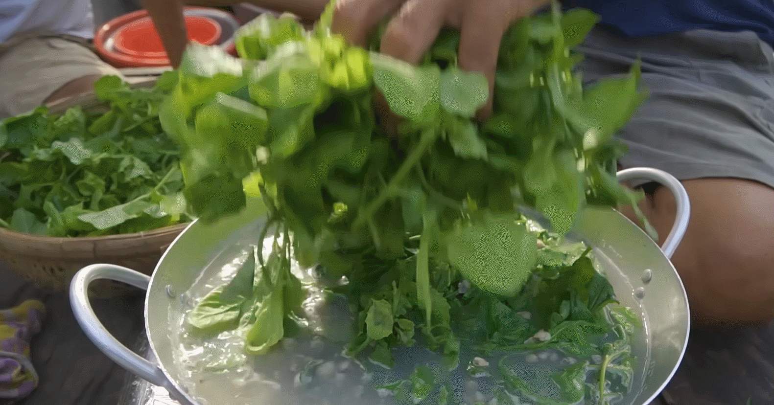 Mekong Delta locals turn wild vegetable into delicious summer dishes