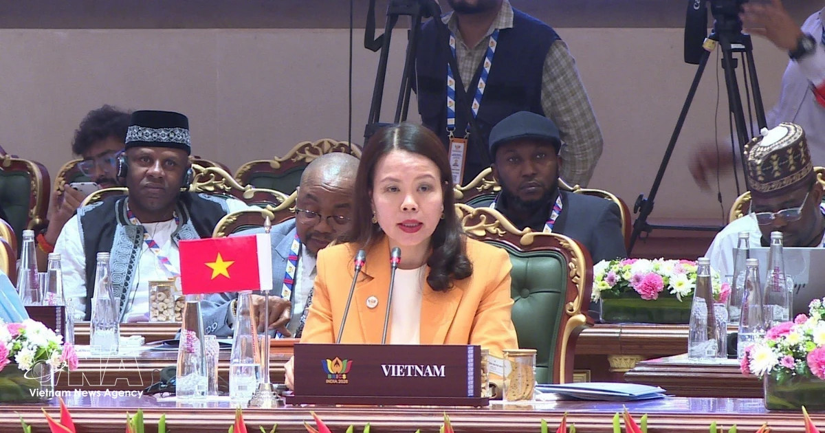 Vietnam ready to strengthen BRICS connection with Asia-Pacific
