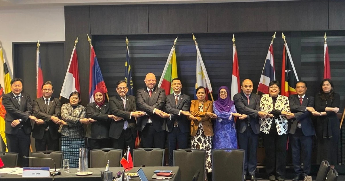 Vietnamese, NZ officials co-chair 33rd ASEAN - New Zealand Dialogue