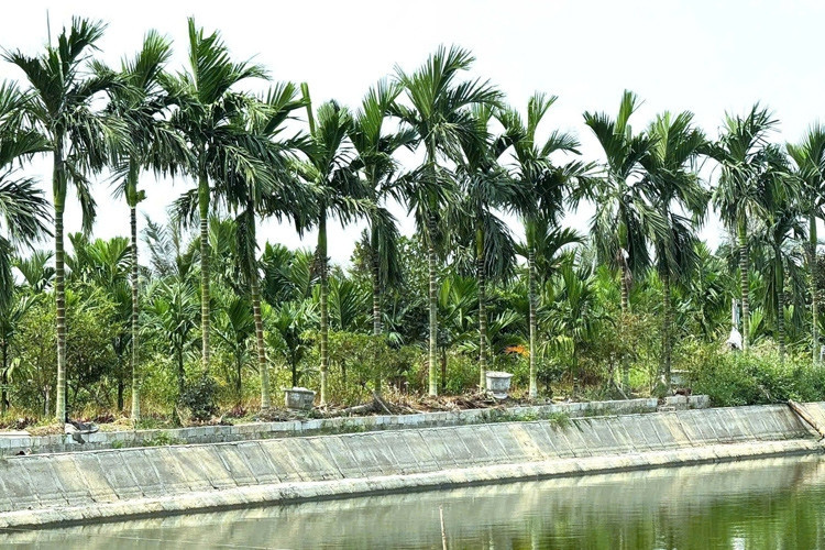 From valedictorian to farmer: The race to scale 6,000m2 of rural specialty ponds